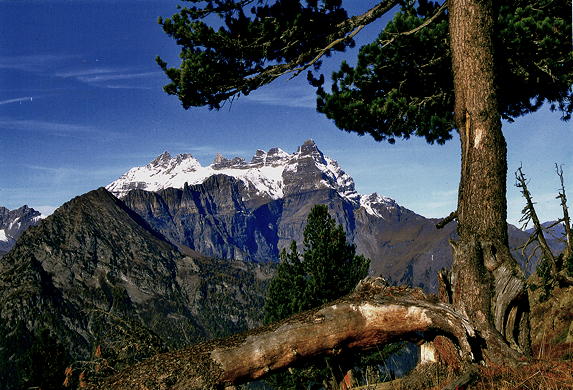 Fondation_photo3_reduite